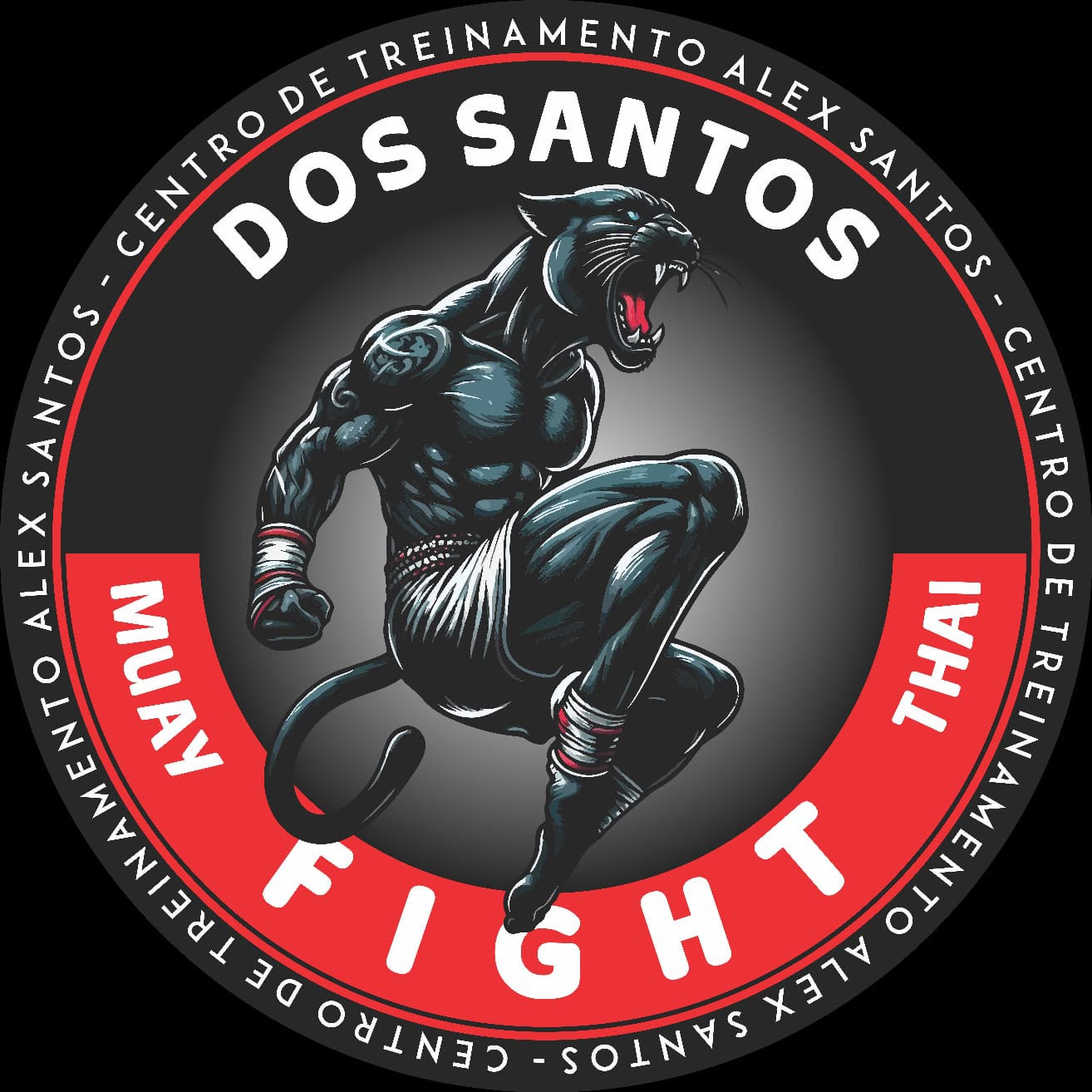 Dos Santos Fight